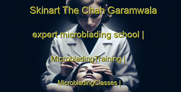 Skinart The Chah Garamwala expert microblading school | MicrobladingTraining | MicrobladingClasses | SkinartTraining-Pakistan